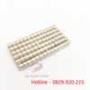 nam-cham-vien-D5x4