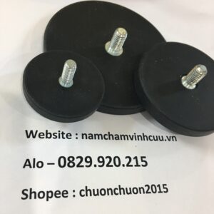 NAM-CHAM-COC-VIT-GAN-MAO